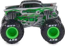 Load image into Gallery viewer, Monster Jam Monster Truck