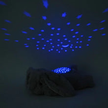 Load image into Gallery viewer, Dream Buddies Benny Bunny