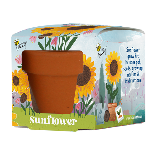 Kids Mini Terracotta Grow Pot Sunflower