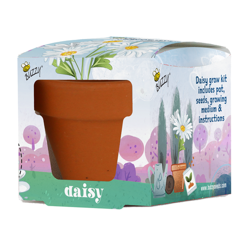 Kids Mini Terracotta Grow Pot Daisy