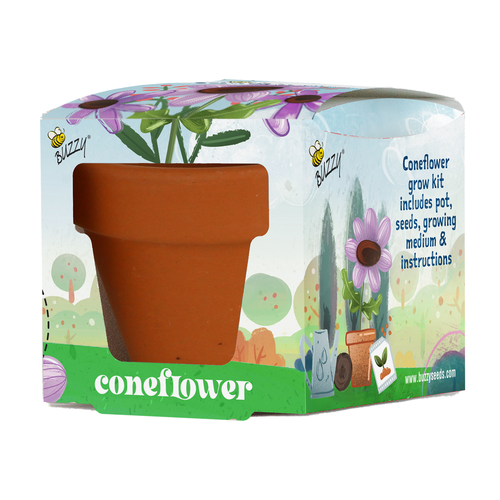 Kids Mini Terracotta Grow Pot Coneflower
