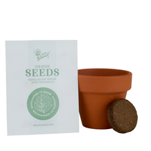 Load image into Gallery viewer, Kids Mini Terracotta Grow Pot Coneflower