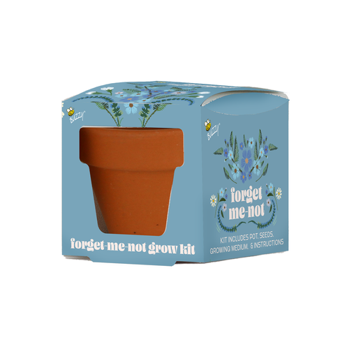 Mini Terracotta Grow Pot Forget-Me-Not