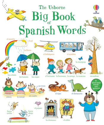 Big Book Of Spanish Words Large Board Book