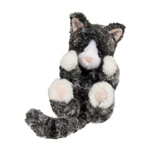 Load image into Gallery viewer, Lil' Handful Kitten