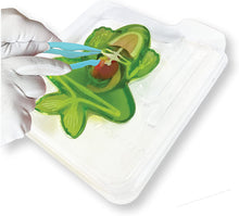 Load image into Gallery viewer, Dissect-It Frog Lab