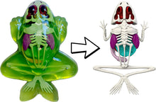 Load image into Gallery viewer, Dissect-It Frog Lab