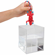 Load image into Gallery viewer, Color Change Revealeons