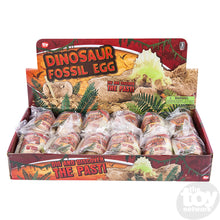 Load image into Gallery viewer, Dinosaur Fossil Egg