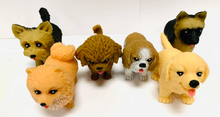 Load image into Gallery viewer, Pocket Pups Series 2
