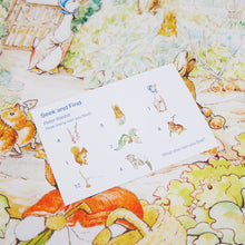 Load image into Gallery viewer, Rabbit Garden Seek &amp; Find Playsilk