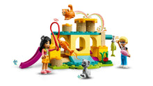 Load image into Gallery viewer, Friends Cat Playground Adventure