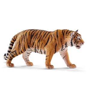 *Tiger