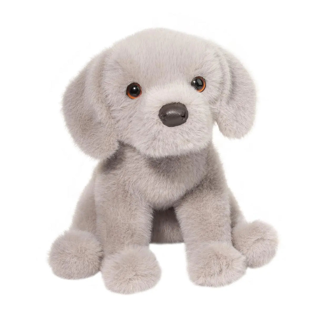 Argento Silver Lab Pup