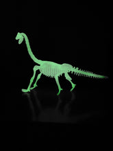 Load image into Gallery viewer, Glow In The Dark Dinosaur Skeleton