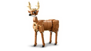 Creator Beautiful Horse