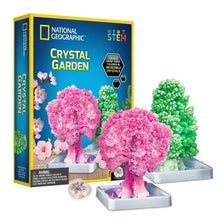 Load image into Gallery viewer, National Geographic Crystal Garden