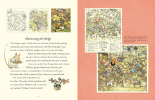 Load image into Gallery viewer, A Visit To Brambly Hedge Book