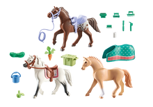 Load image into Gallery viewer, Three Horses With Saddles