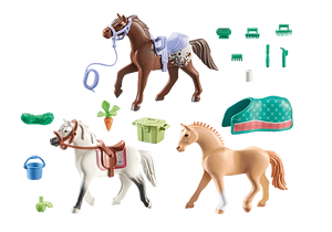 Three Horses With Saddles