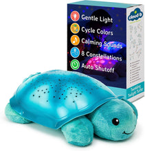 Load image into Gallery viewer, Aqua Tranquil Turtle