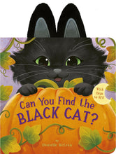 Load image into Gallery viewer, Can You Find The Black Cat? Board Book