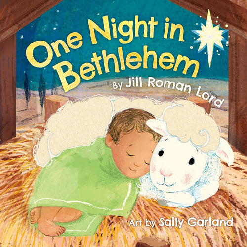 One Night In Bethlehem Board Book