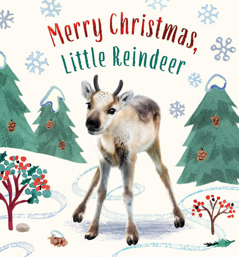 Merry Christmas Little Reindeer Board Book