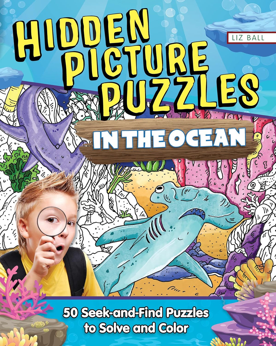 Hidden Picture Puzzles In The Ocean Book