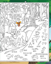 Load image into Gallery viewer, Hidden Picture Puzzles In The Forest Book