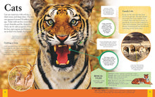 Load image into Gallery viewer, The New Children&#39;s Encyclopedia: Science, Animals, Human Body, Space And More! Book