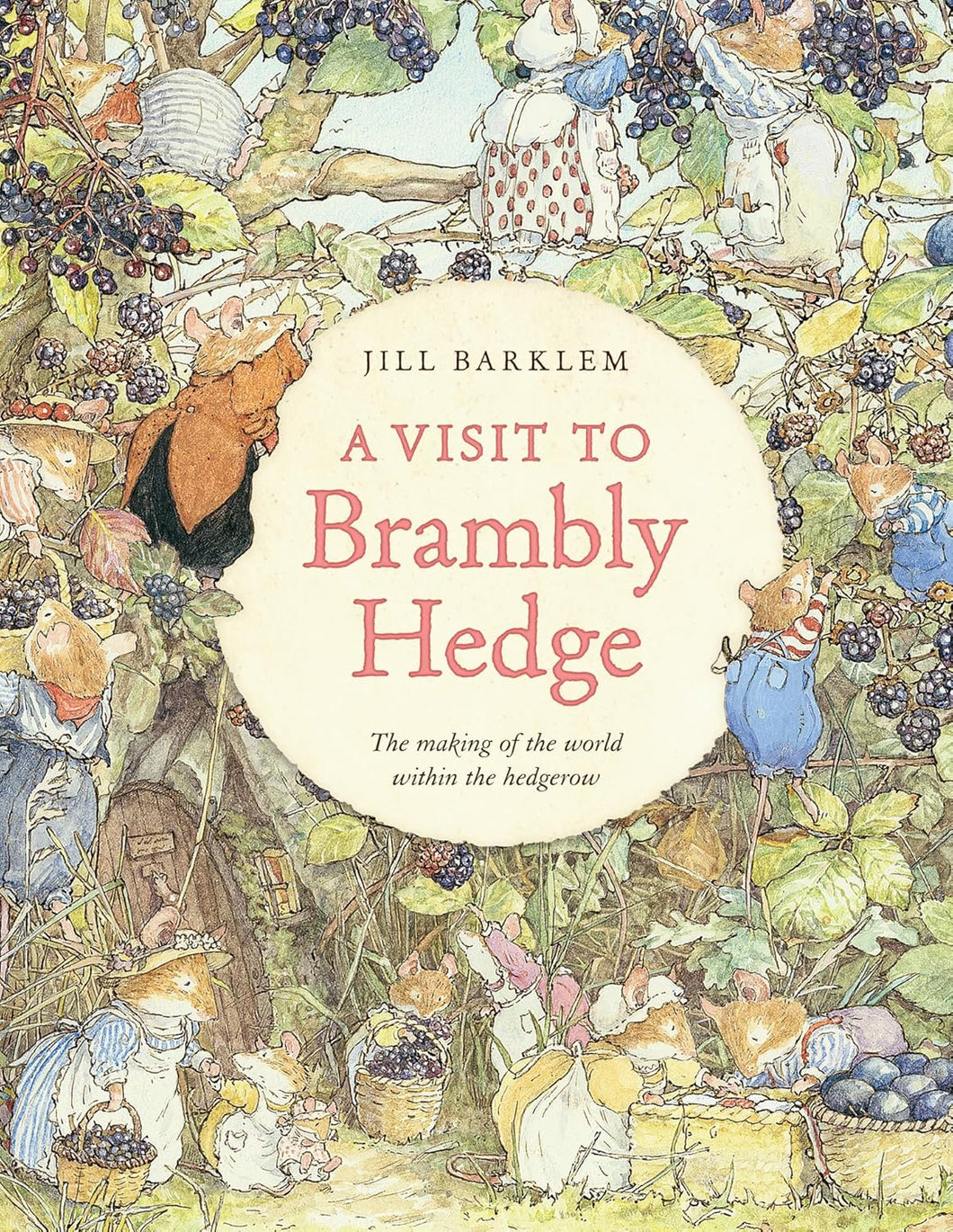A Visit To Brambly Hedge Book