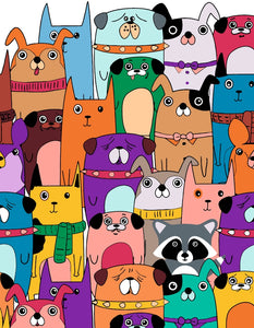 Raccoon Among Friends Artwille Paint By Numbers