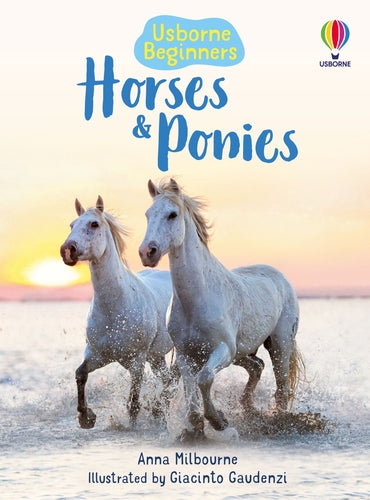 Beginners Horses & Ponies Book