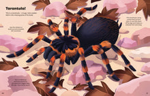 Load image into Gallery viewer, Big Sticker Book Bugs