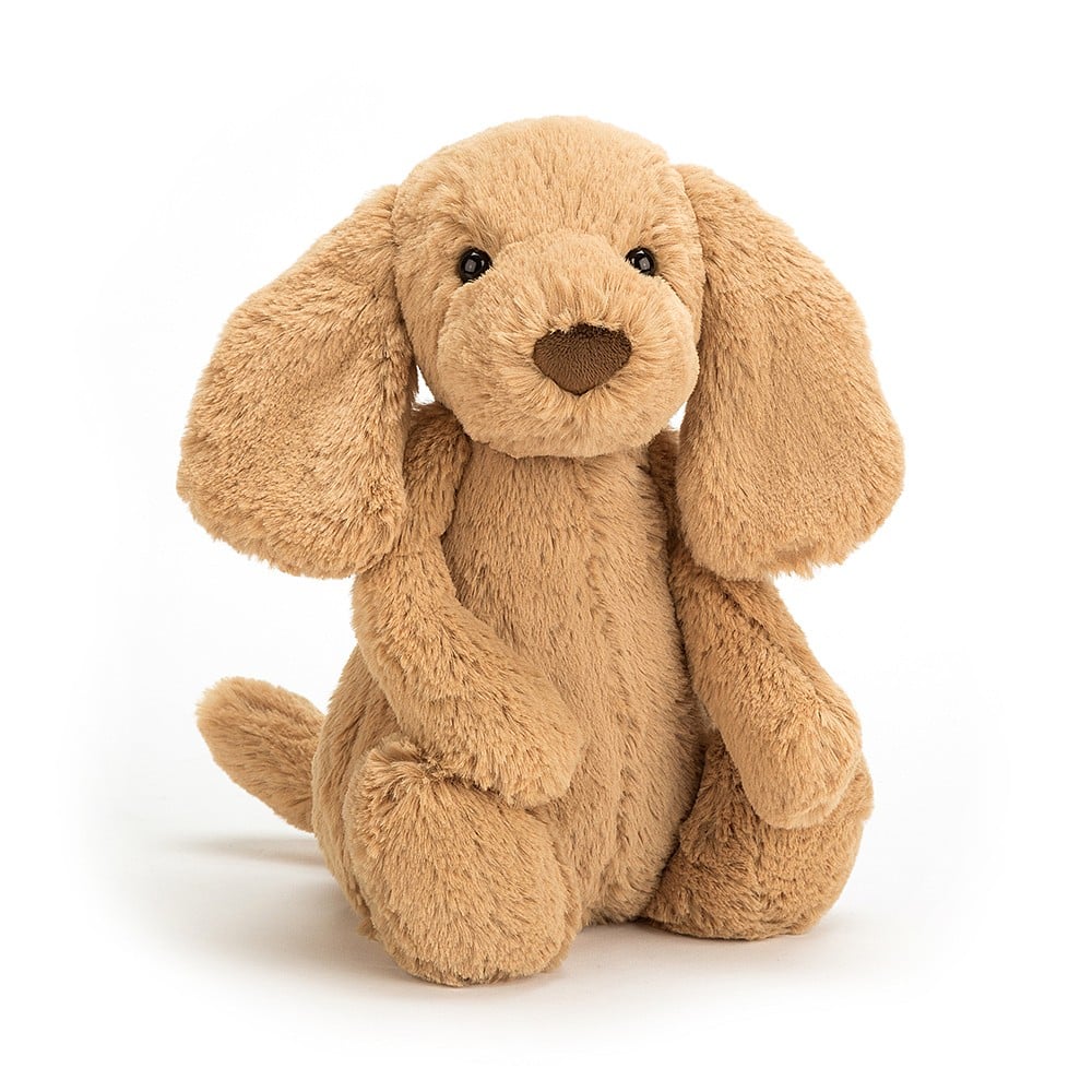*Little Bashful Toffee Puppy