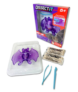 Dissect-It Bat Lab