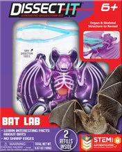 Load image into Gallery viewer, Dissect-It Bat Lab
