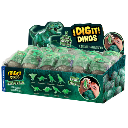 I Dig It Dinos! Glow In The Dark Dino Egg