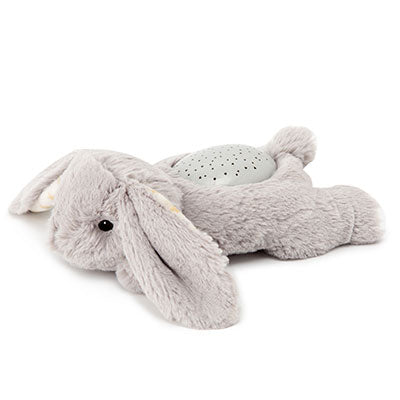 Dream Buddies Benny Bunny