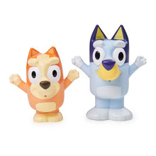 Load image into Gallery viewer, Bluey Water Squirties