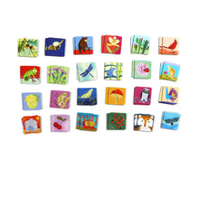 Load image into Gallery viewer, Life On Earth Matching