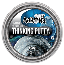 Load image into Gallery viewer, Mini Owl Putty Tin