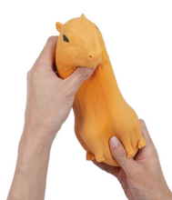 Load image into Gallery viewer, Stretch 'N Smash Capybara