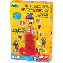 Load image into Gallery viewer, Wow In The World The Amazing Human Body