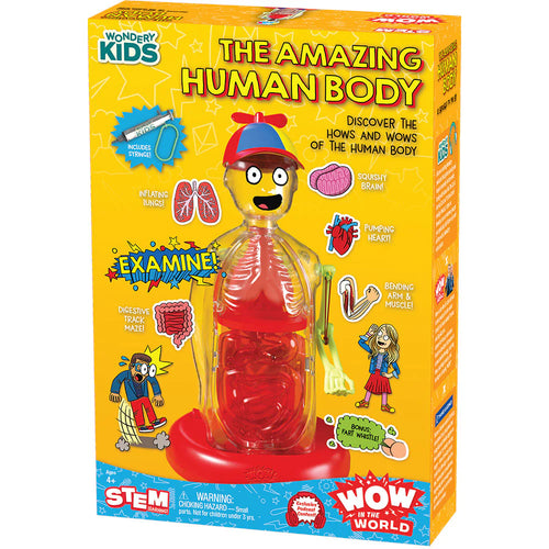 Wow In The World The Amazing Human Body