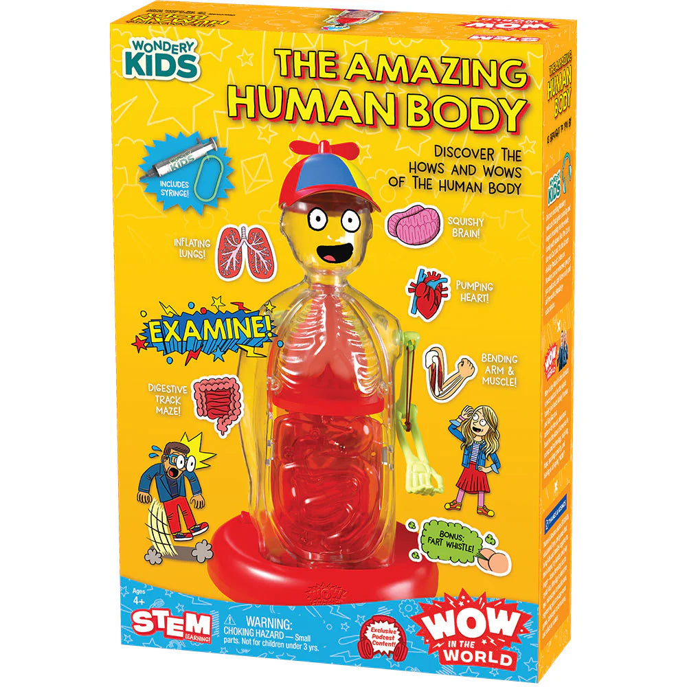 Wow In The World The Amazing Human Body