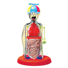 Load image into Gallery viewer, Wow In The World The Amazing Human Body
