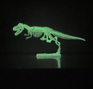 Glow In The Dark Dinosaur Skeleton