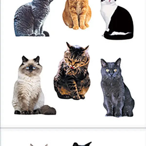 Mini Mixed Cats Stickers